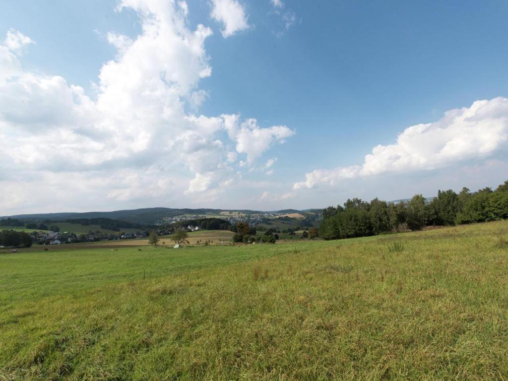 Ferienwohnung Ripa Erzgebirge In Schwarzenberg Schwarzenberg  Exterior foto