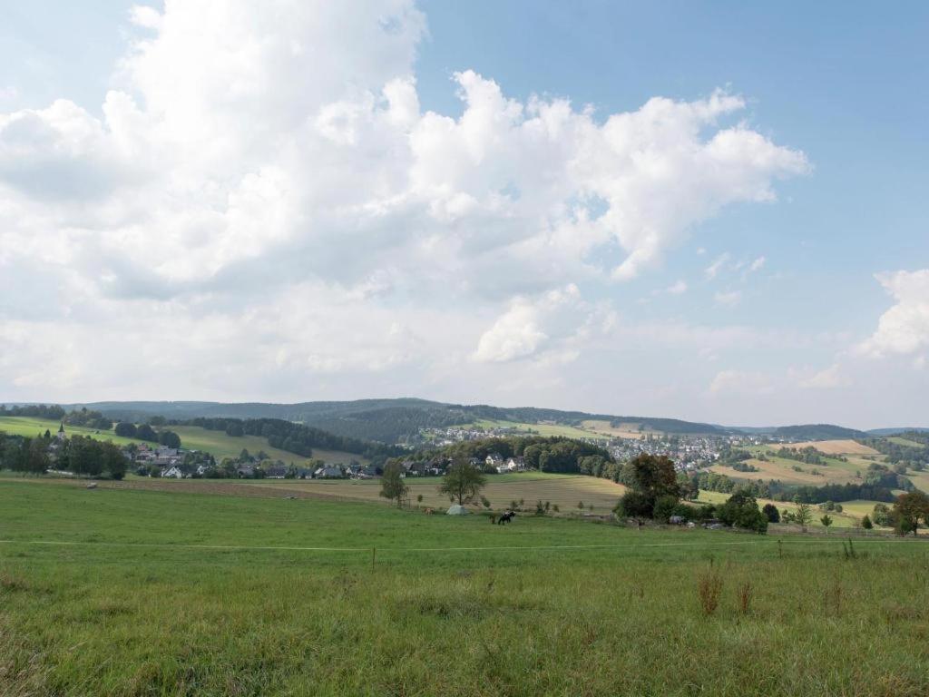 Ferienwohnung Ripa Erzgebirge In Schwarzenberg Schwarzenberg  Exterior foto